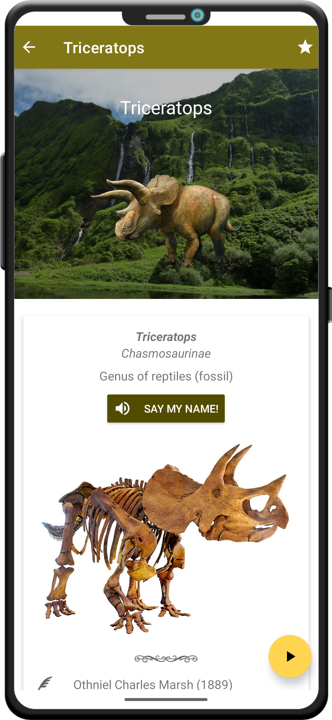 Screenshot of an animal profile in World of Dinosaurs.