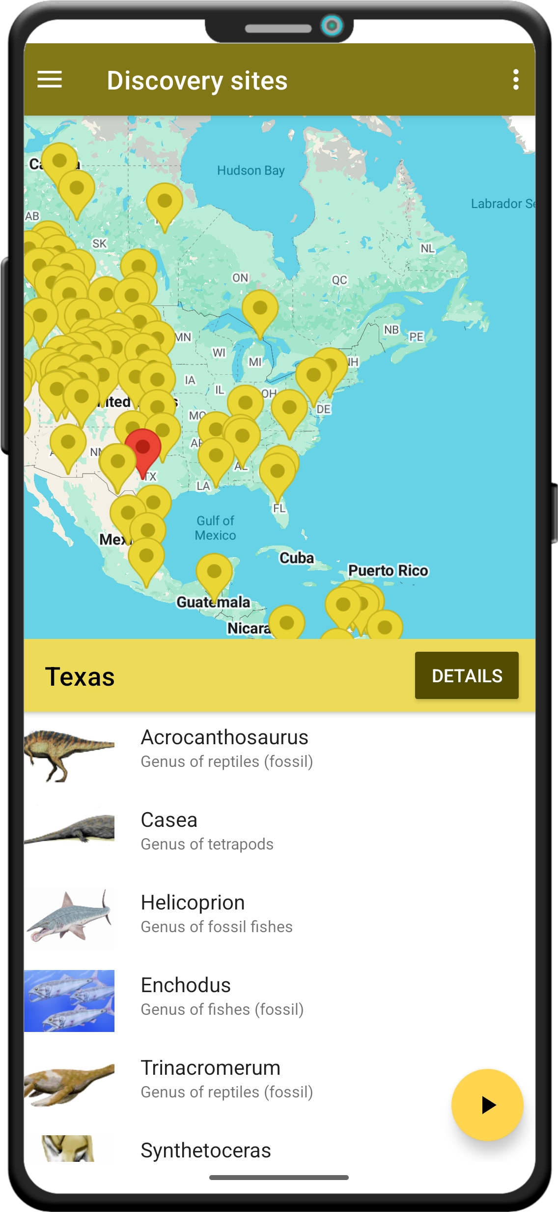 World of Dinosaurs app screenshot